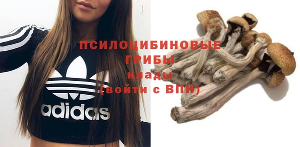 круглые Вяземский
