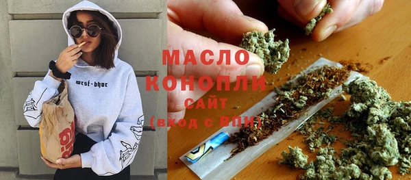 гидропоника Горняк