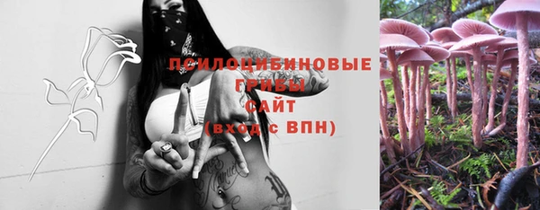 круглые Вяземский
