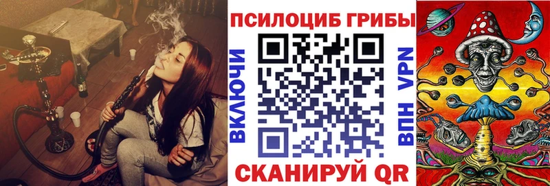 Псилоцибиновые грибы мицелий  блэк спрут   Дятьково 